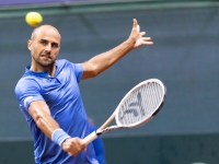 Marius Copil