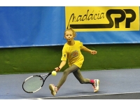 Palková